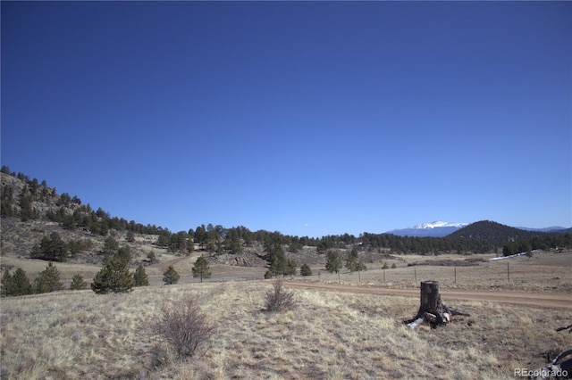 43 Stoll Cir, Lake George, CO 80827