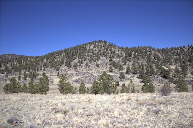 43 Stoll Cir, Lake George, CO 80827