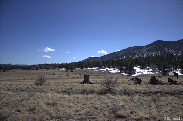 43 Stoll Cir, Lake George, CO 80827