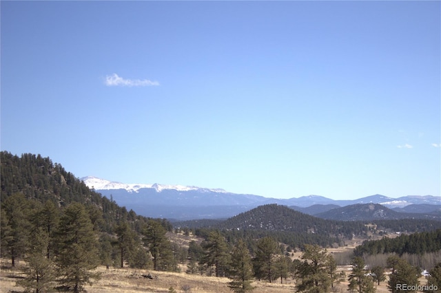 43 Stoll Cir, Lake George, CO 80827