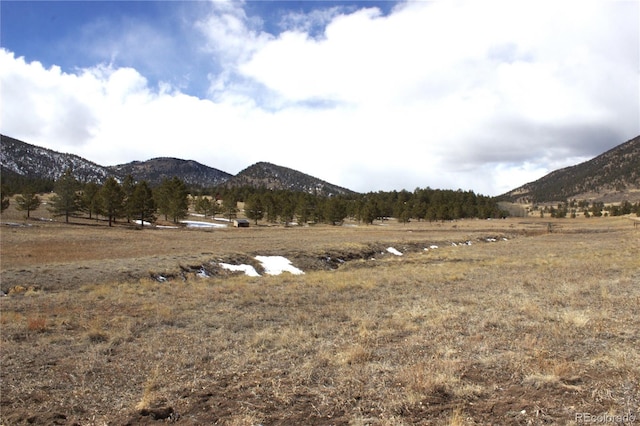 43 Stoll Cir, Lake George, CO 80827