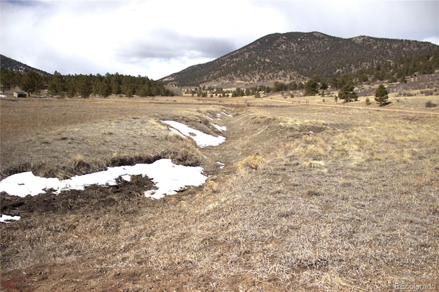 43 Stoll Cir, Lake George, CO 80827