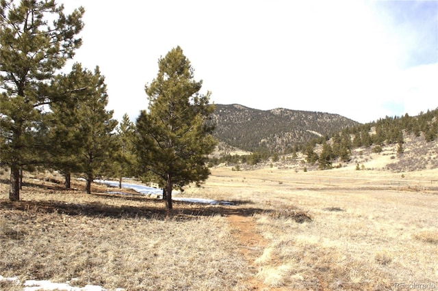 43 Stoll Cir, Lake George, CO 80827