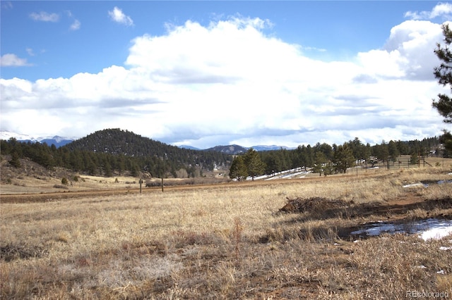 43 Stoll Cir, Lake George, CO 80827