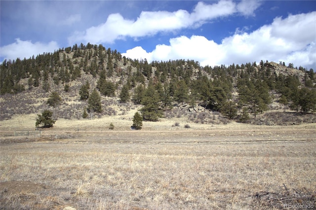 43 Stoll Cir, Lake George, CO 80827