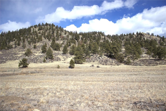 43 Stoll Cir, Lake George, CO 80827