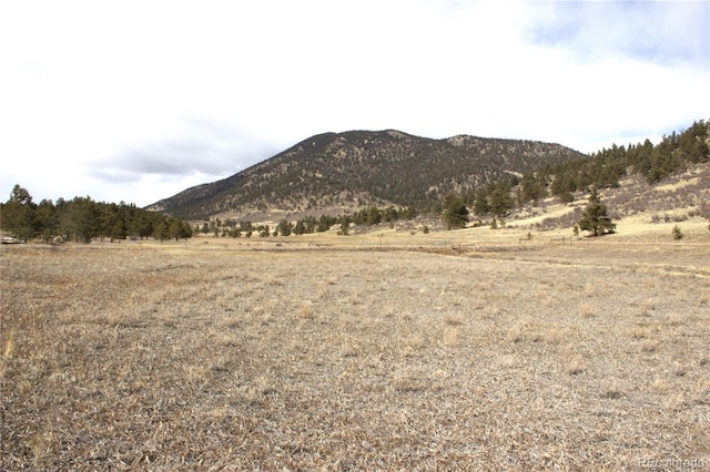 43 Stoll Cir, Lake George, CO 80827