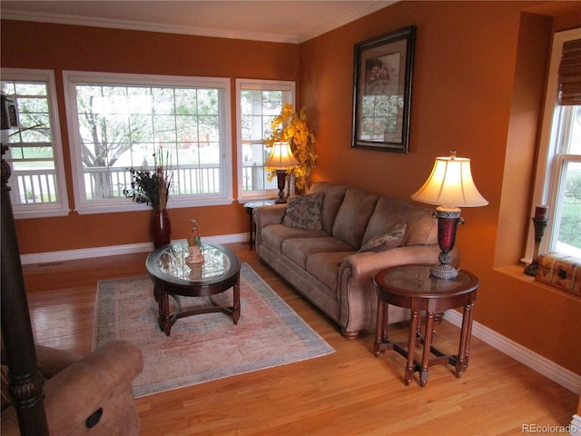 10522 Stoneflower Dr, Parker, CO 80134 - living room featuring plenty of natural light, wood finished floors, baseboards, and ornamental molding