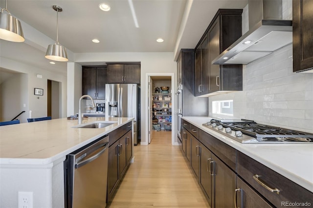 10024 Waterton Canyon Way, Colorado Springs, CO 80924 - kitchen with appliances with stainless steel finishes, light wood-type flooring, wall chimney exhaust hood, decorative backsplash, and a sink
