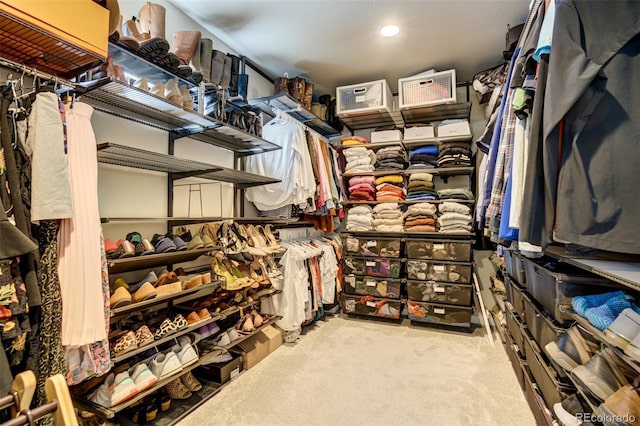 10024 Waterton Canyon Way, Colorado Springs, CO 80924 - walk in closet featuring carpet