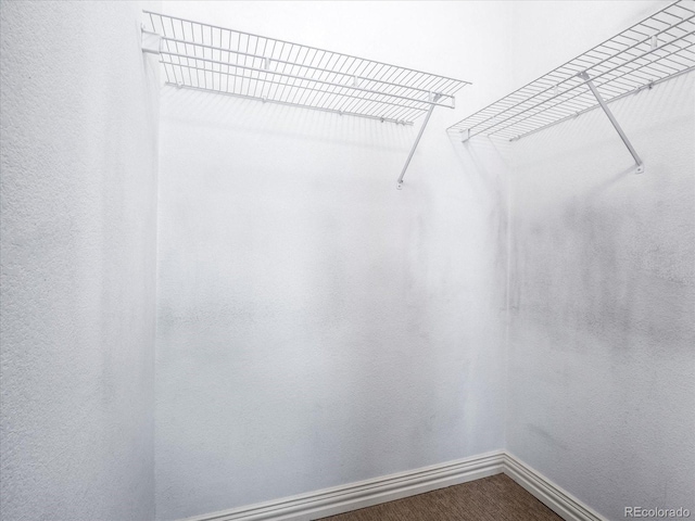 spacious closet featuring dark wood-style flooring