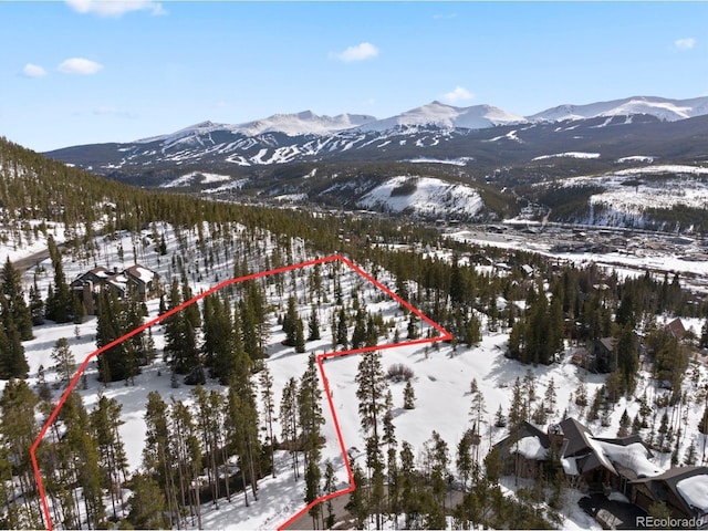 203 Spalding Ter, Breckenridge, CO 80424