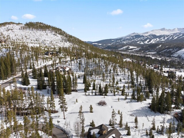 203 Spalding Ter, Breckenridge, CO 80424