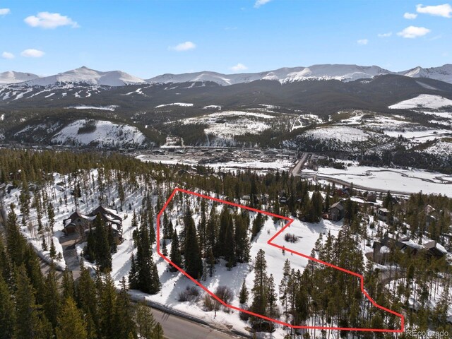 203 Spalding Ter, Breckenridge, CO 80424