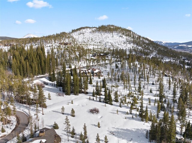 203 Spalding Ter, Breckenridge, CO 80424