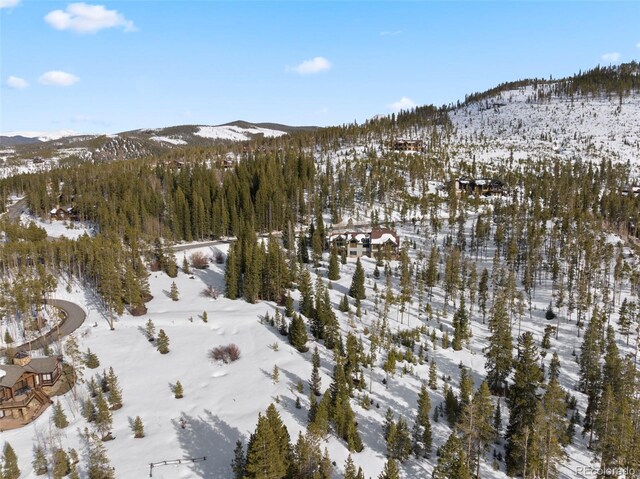 203 Spalding Ter, Breckenridge, CO 80424