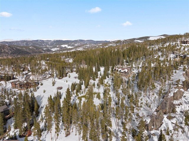 203 Spalding Ter, Breckenridge, CO 80424