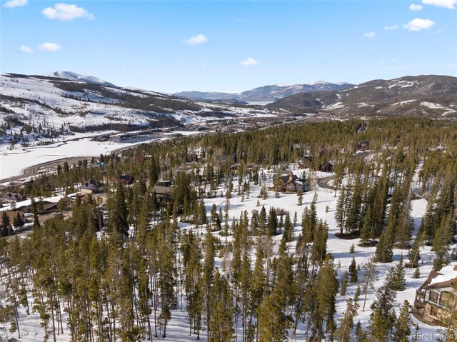 203 Spalding Ter, Breckenridge, CO 80424