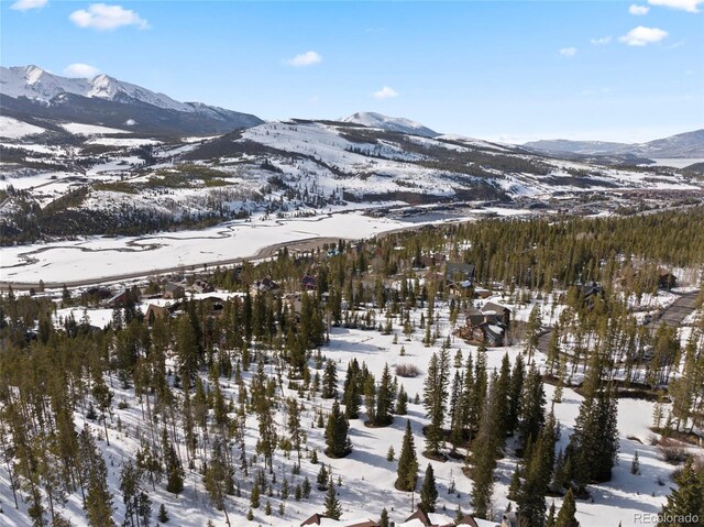 203 Spalding Ter, Breckenridge, CO 80424