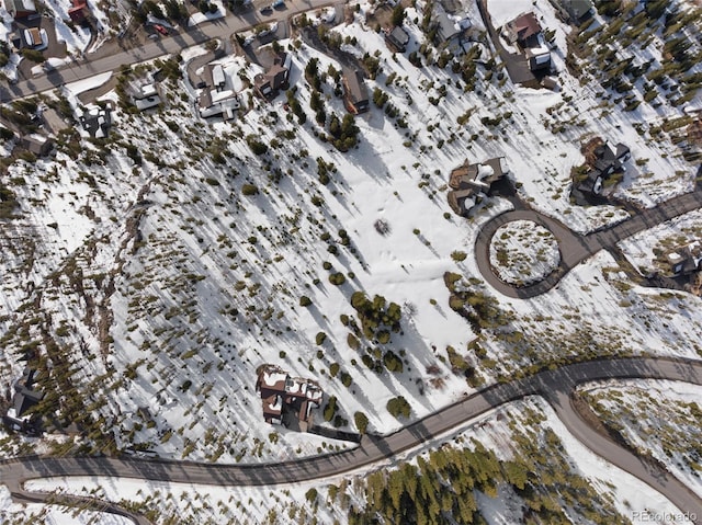 203 Spalding Ter, Breckenridge, CO 80424