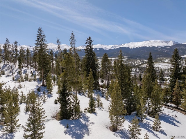 203 Spalding Ter, Breckenridge, CO 80424
