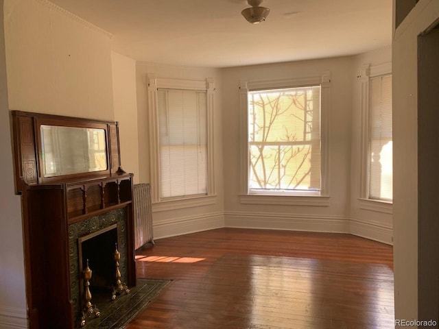 living room with baseboards, a premium fireplace, dark wood finished floors, and radiator