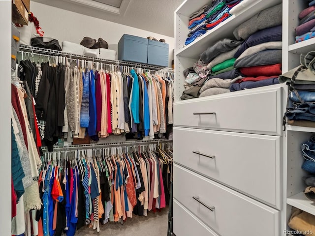 15264 W La Salle Ave, Lakewood, CO 80228 - photo 25