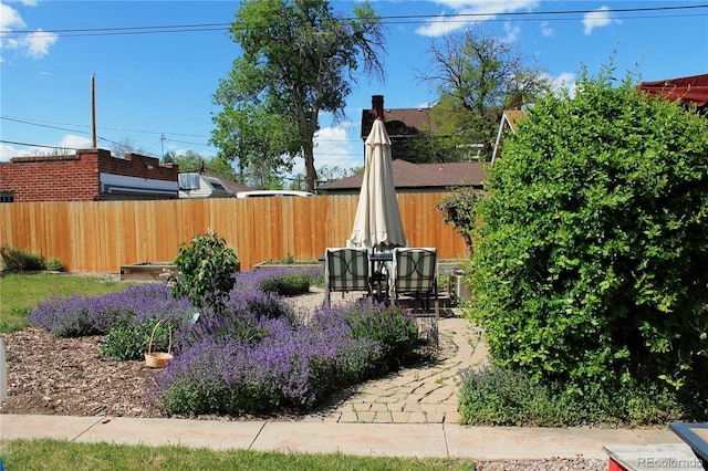 1363 Stuart St, Denver, CO 80204 - view of yard with fence and a patio area