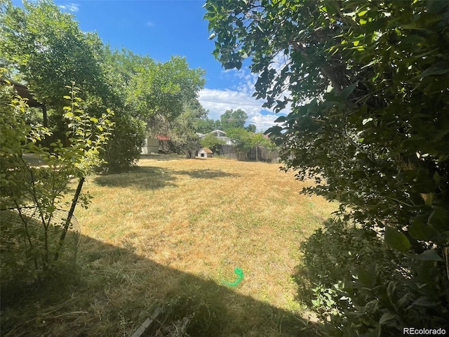6139 S Adams Dr, Centennial, CO 80121 - view of yard