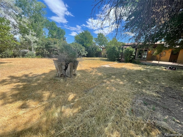 6139 S Adams Dr, Centennial, CO 80121 - view of grassy yard featuring a patio