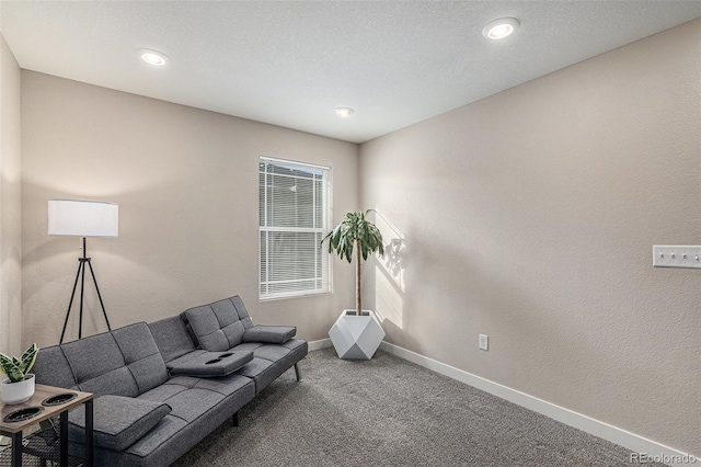 living room featuring carpet floors