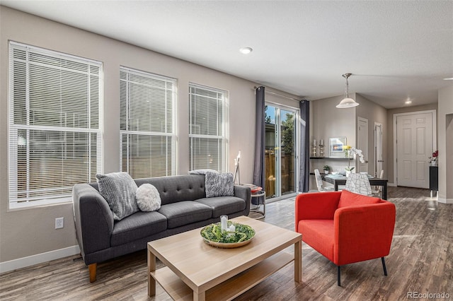 living room with hardwood / wood-style floors