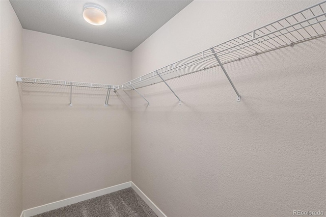 spacious closet with carpet