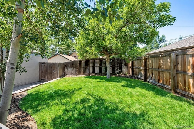 321 S Emerson St, Denver, CO 80209 - view of yard
