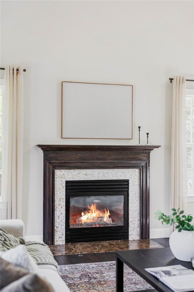 8739 E 23rd Ave, Denver, CO 80238 - detailed view of a premium fireplace and baseboards