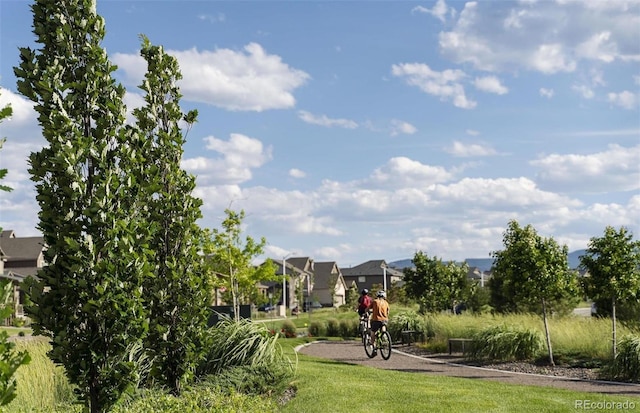 surrounding community featuring a yard and a residential view