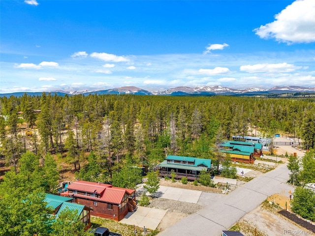216 Sunshine Loop, Fairplay, CO 80440