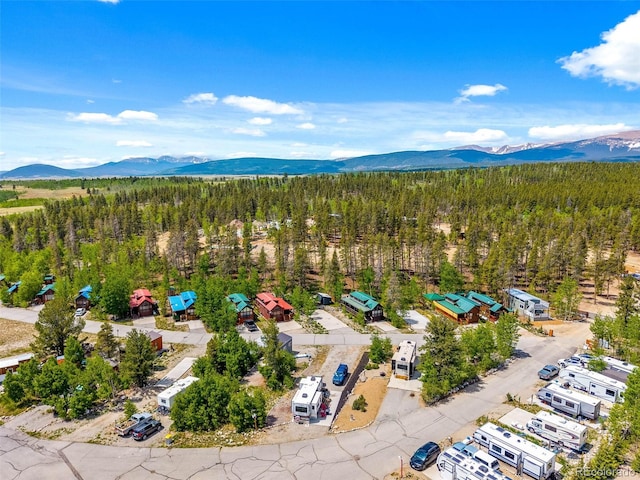216 Sunshine Loop, Fairplay, CO 80440