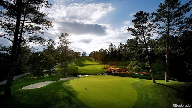 view of community with golf course view