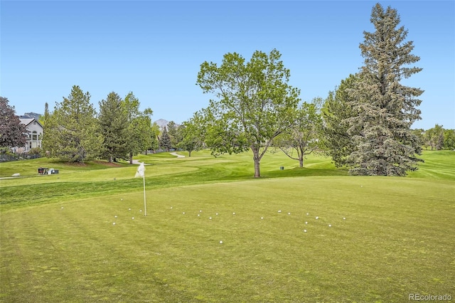 16179 W 70th Pl, Arvada, CO 80007 - surrounding community featuring a yard, an area to practice putting, and view of golf course