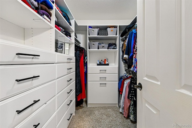 1063 Roslyn Ct, Denver, CO 80230 - walk in closet with light carpet