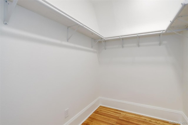 spacious closet featuring wood finished floors