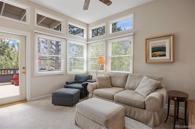 4212 Morning Star Dr, Castle Rock, CO 80108 - photo 13