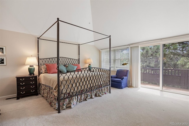 4212 Morning Star Dr, Castle Rock, CO 80108 - photo 24