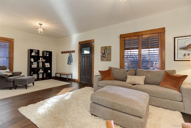 living room featuring dark wood-type flooring