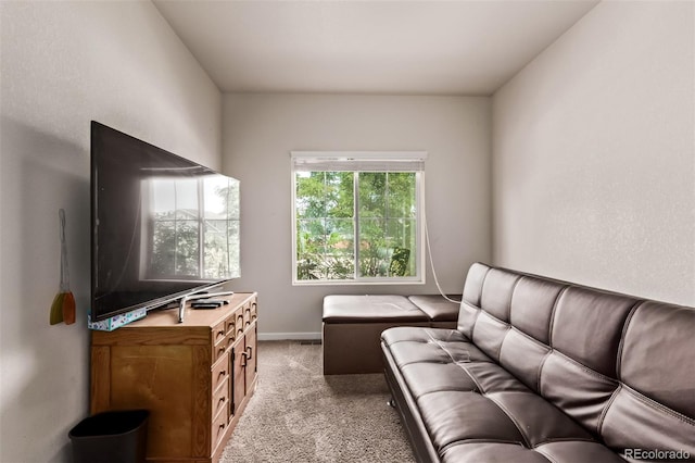 4608 E 95th Ave, Thornton, CO 80229 - photo 19