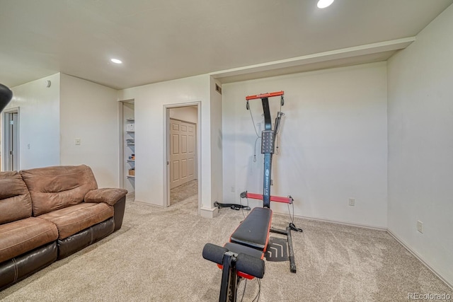 10050 Piute Dr, Salida, CO 81201 - workout room featuring carpet floors, recessed lighting, and baseboards