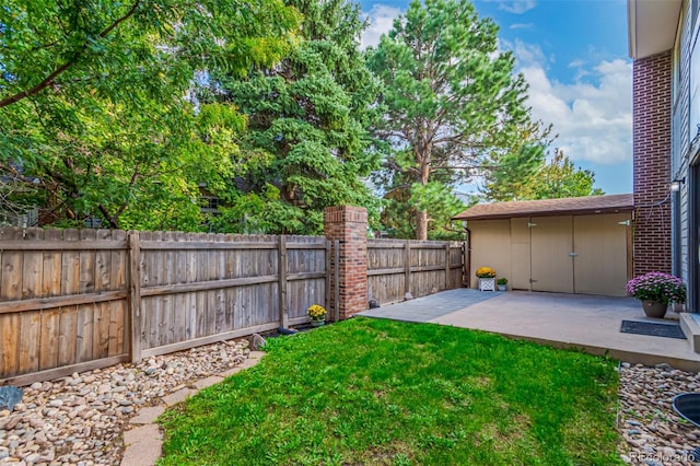 view of yard featuring a patio area