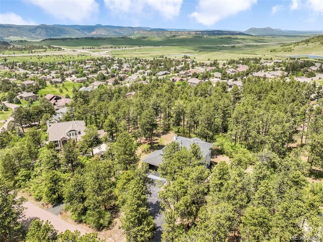 1240 Lone Scout Lookout, Monument, CO 80132 - photo 4