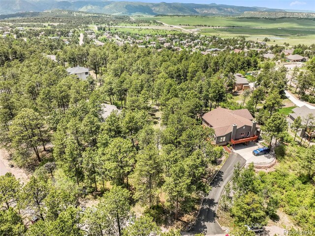 1240 Lone Scout Lookout, Monument, CO 80132 - photo 49